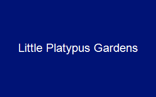Little Platypus Gardens